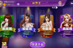 电子mg游戏-电子MG游戏，探索音乐与游戏的融合新境界-电子mg游戏